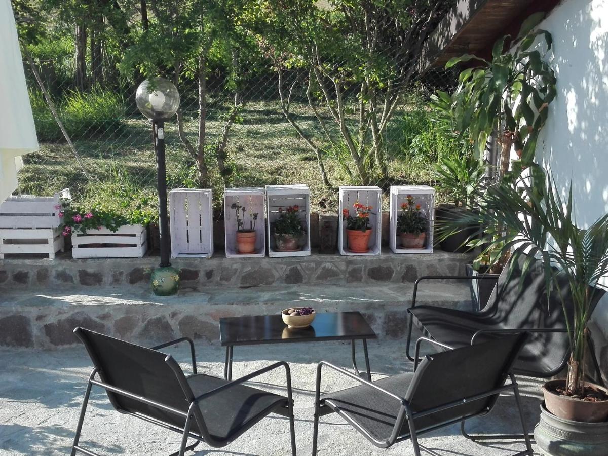 La Casa Nel Sole Appartement Alessandria Buitenkant foto