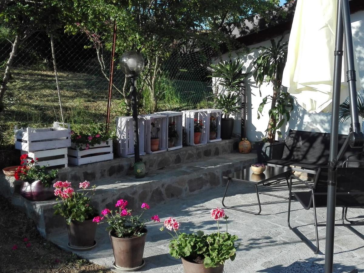 La Casa Nel Sole Appartement Alessandria Buitenkant foto