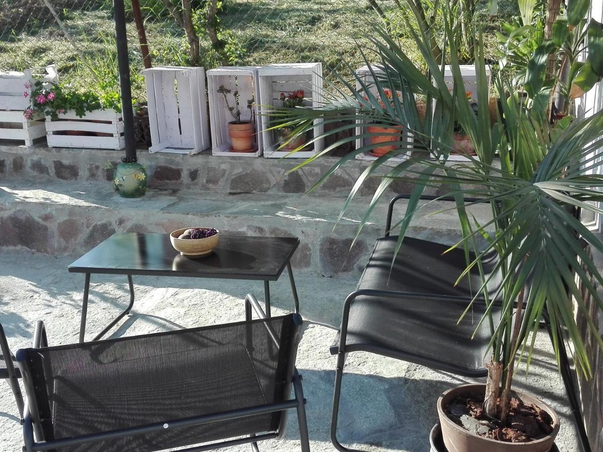 La Casa Nel Sole Appartement Alessandria Buitenkant foto